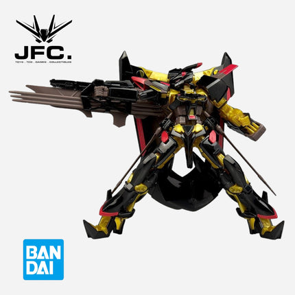 HG 1/144 ASTRAY GOLD FRAME AMATSU MINA
