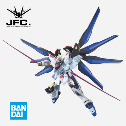 HGCE 1/144 STRIKE FREEDOM GUNDAM