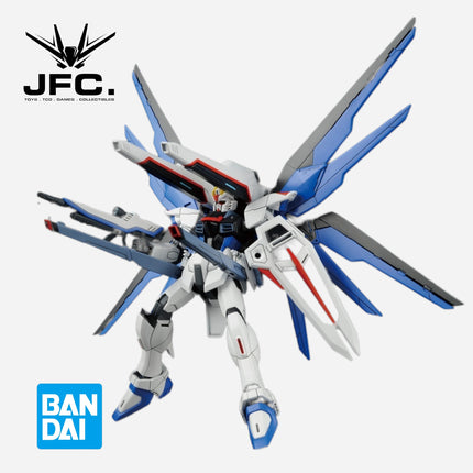 HGCE 1/144 FREEDOM GUNDAM