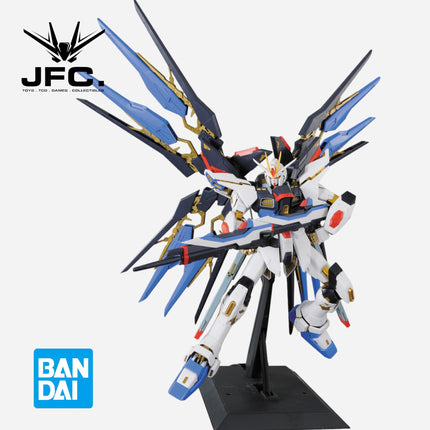 PG 1/60 STRIKE FREEDOM GUNDAM