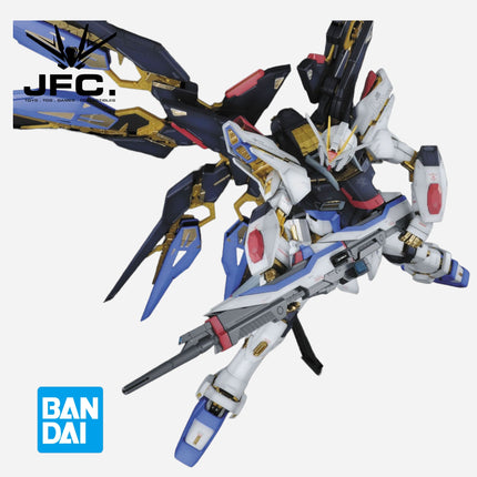 PG 1/60 STRIKE FREEDOM GUNDAM