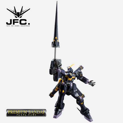 RG 1/144 CROSSBONE GUNDAM X2