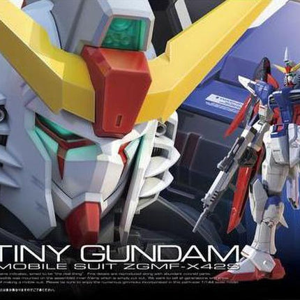 RG 1/144 DESTINY GUNDAM