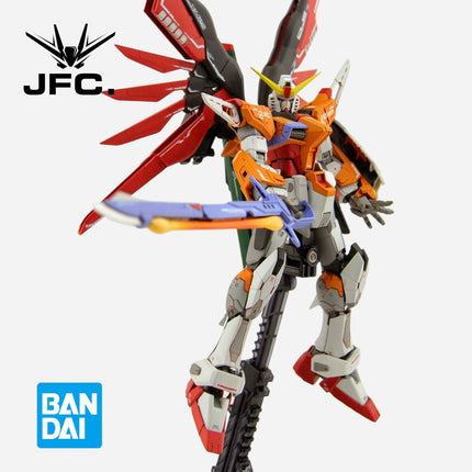 RG 1/144 DESTINY GUNDAM (HEINE WESTENFLUSS CUSTOM) - EXPO LIMITED