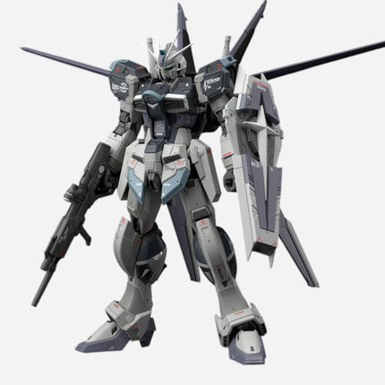 RG 1/144 FORCE IMPULSE GUNDAM [DEACTIVE MODE]