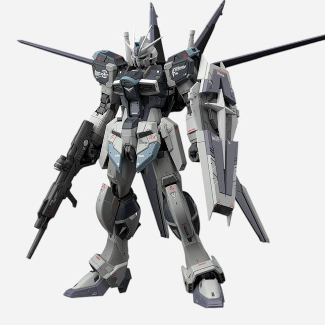 RG 1/144 FORCE IMPULSE GUNDAM [DEACTIVE MODE]