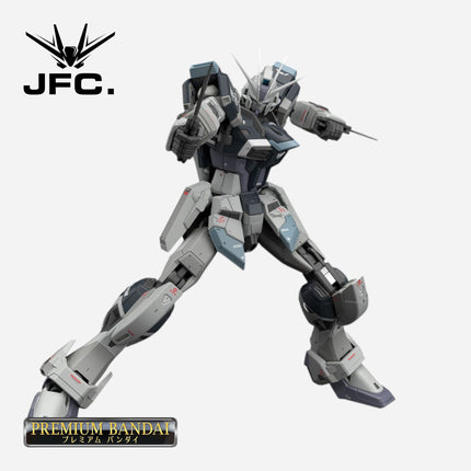 RG 1/144 FORCE IMPULSE GUNDAM [DEACTIVE MODE]
