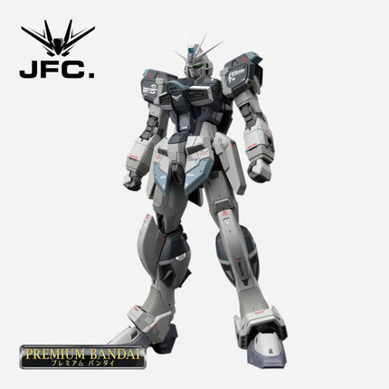 RG 1/144 FORCE IMPULSE GUNDAM [DEACTIVE MODE]