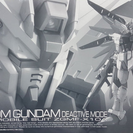 RG 1/144 FREEDOM GUNDAM (DEACTIVE MODE)