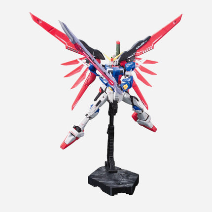 RG 1/144 DESTINY GUNDAM