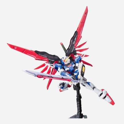 RG 1/144 DESTINY GUNDAM