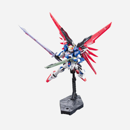 RG 1/144 DESTINY GUNDAM