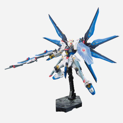 RG 1/144 STRIKE FREEDOM GUNDAM