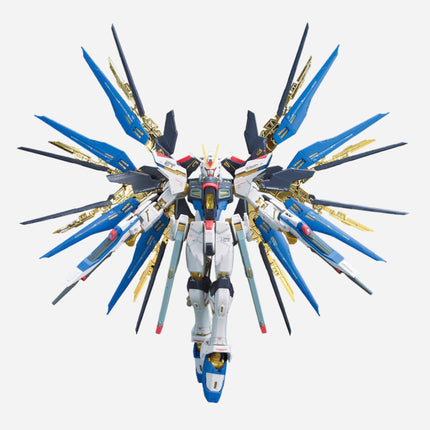 RG 1/144 STRIKE FREEDOM GUNDAM
