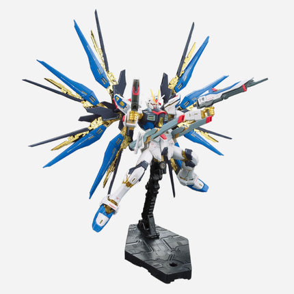 RG 1/144 STRIKE FREEDOM GUNDAM