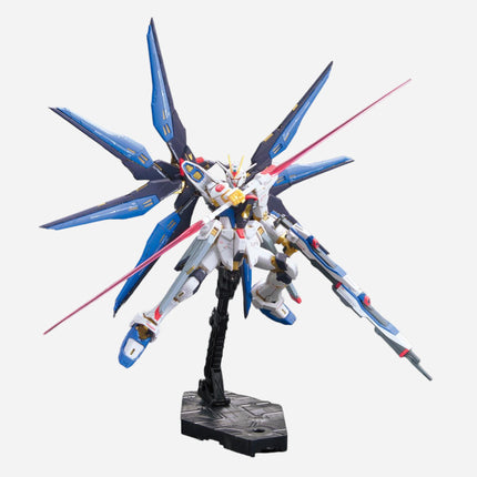 RG 1/144 STRIKE FREEDOM GUNDAM