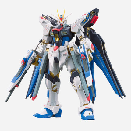 RG 1/144 STRIKE FREEDOM GUNDAM