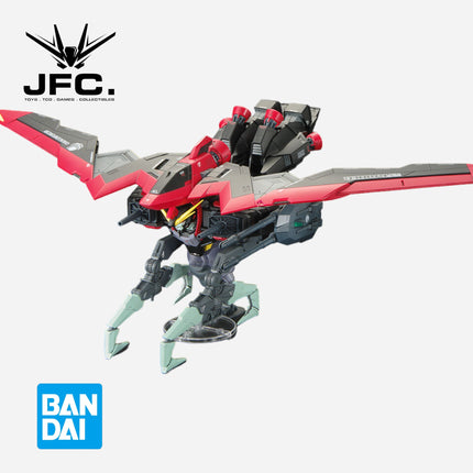 FM 1/100 RAIDER GUNDAM