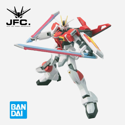 NG 1/100 SWORD IMPULSE GUNDAM