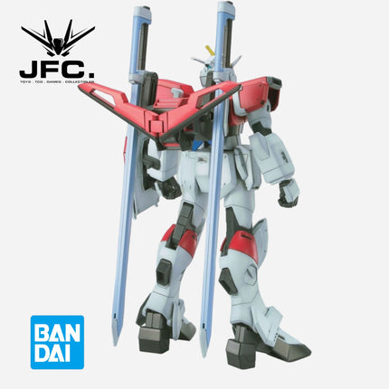NG 1/100 SWORD IMPULSE GUNDAM