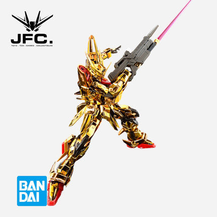 RG 1/144 AKATSUKI GUNDAM (OOWASHI UNIT)