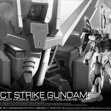 RG 1/144 PERFECT STRIKE GUNDAM