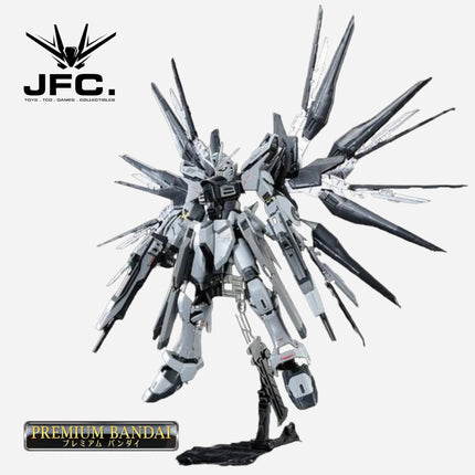 RG 1/144 STRIKE FREEDOM GUNDAM (DEACTIVE MODE)